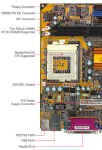 b-p6stm-1[1].jpeg (66398 ֽ)
